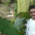 Ton de Heer