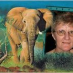 Tuffi Fant
