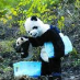Chengzhan Zhuang