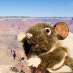 Chris PackRat