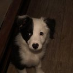 Foster Paul