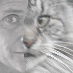 Dorothy Knudsen