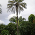 Tabanka GuineBissau