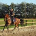 Marjolein Pas
