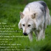 Dena Sherman