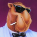 Daniel Camel