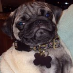 Angela Martin