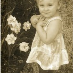 Teresa Stallings