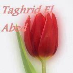 Taghrid El Abed