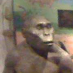 Alan Prelog