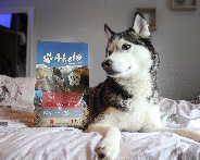 We're so confident that your furry friends will love Akela that we guarantee it!