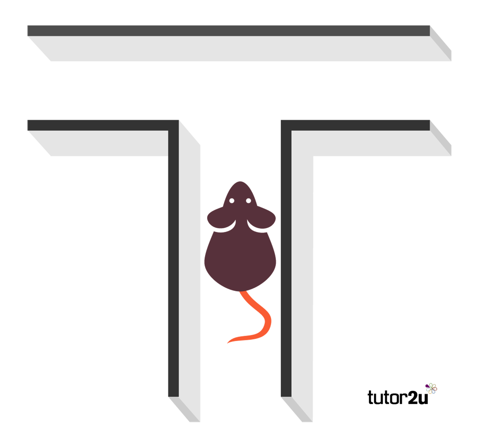 How to Be a Successful Tutor foto photo How to Be a Successful Tutor