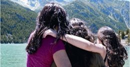 Il progetto Fellow