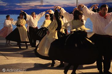 Culture