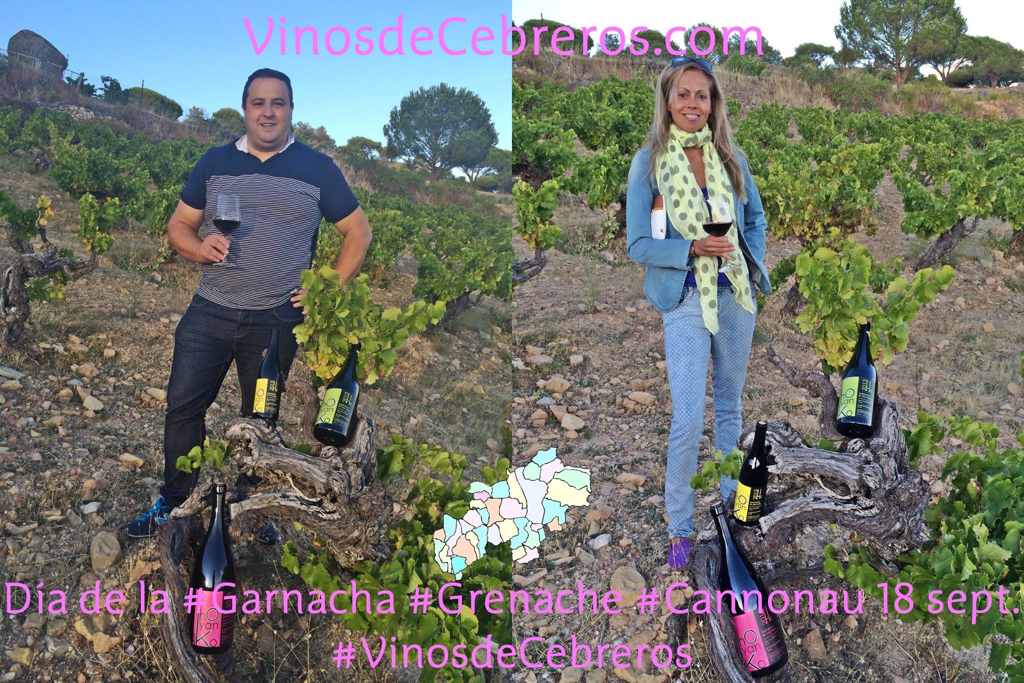 Post Día internacional de la Garnacha
