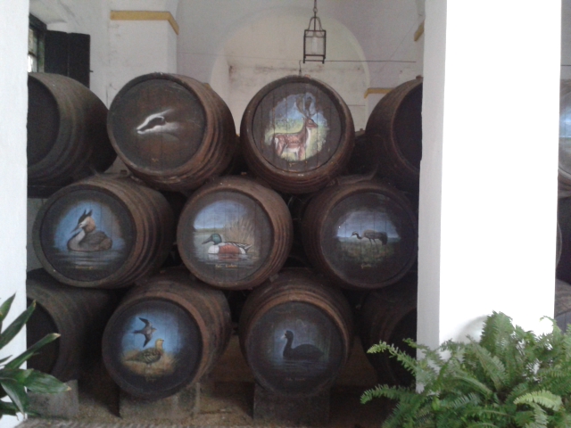 Colección Manzanilla en Rama