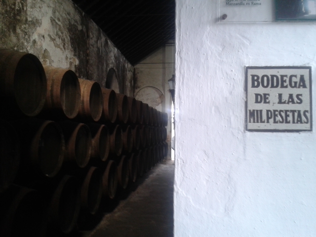 en Bodegas Barbadillo