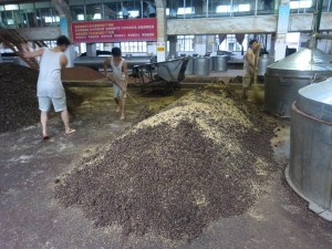 Montículo de fermentación abierto donde fermenta el sorgo