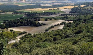Paisaje del valle del Duero desde el páramo