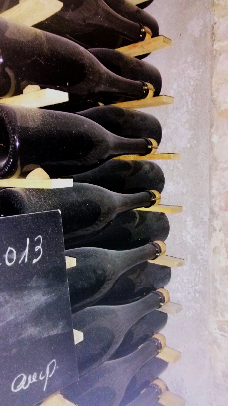 Botellas en rima en la visita a las cavas Maria Rigol Ordi