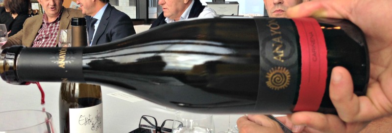 Presentación productos de Aragón: vino Anayón cariñena 2014