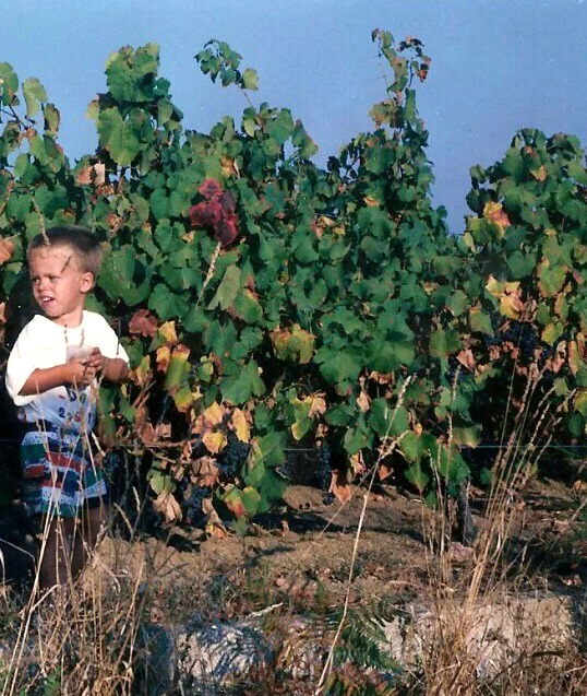Bodega Casa Monte Pío