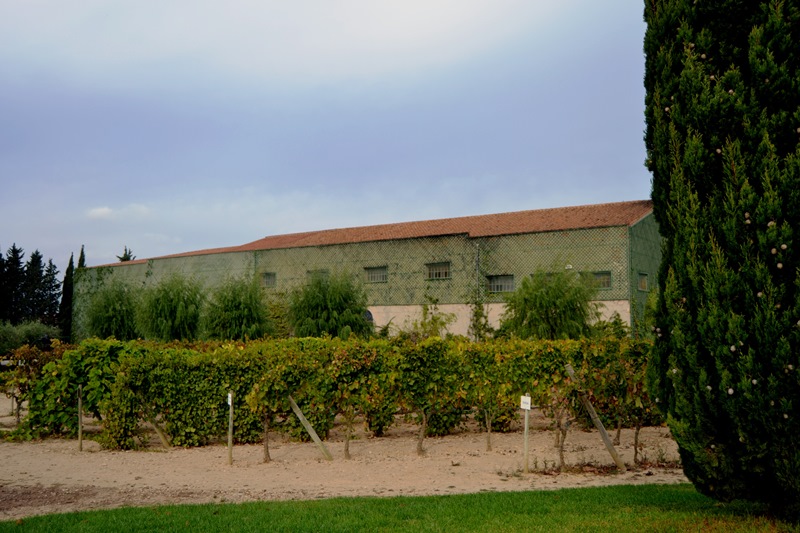 Jean Leon en Barcelona