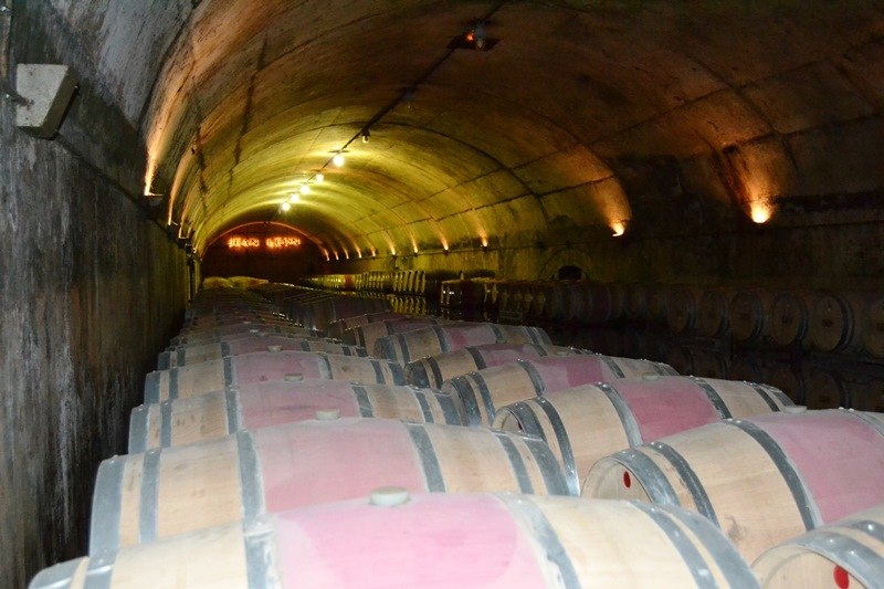 interior bodega