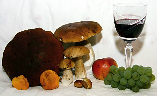 setas para acompañar al vino