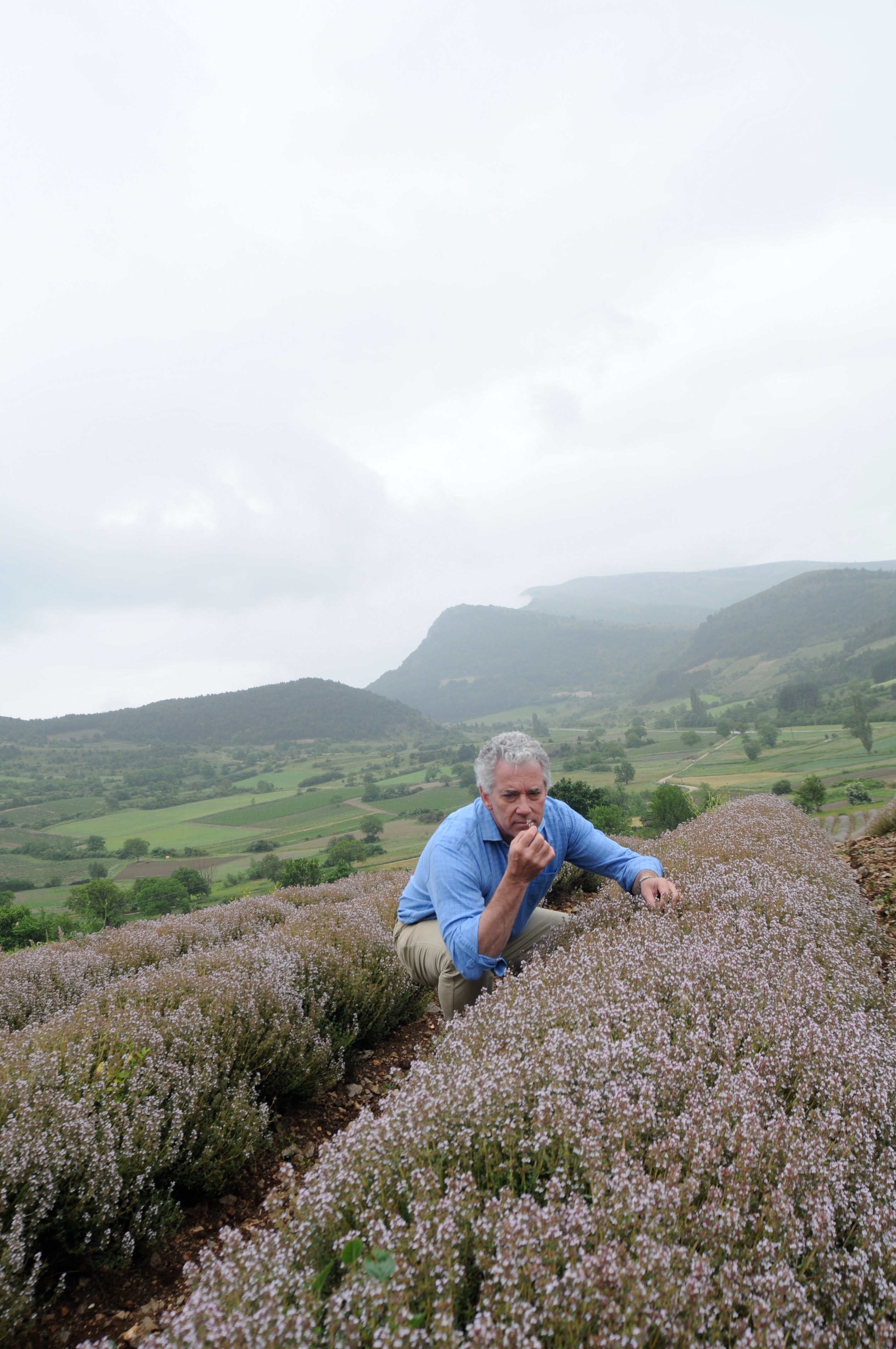 Aquí tenéis a Charles Rolls, fundador de Fever-tree, en los campos de lavanda de la Provenza :)