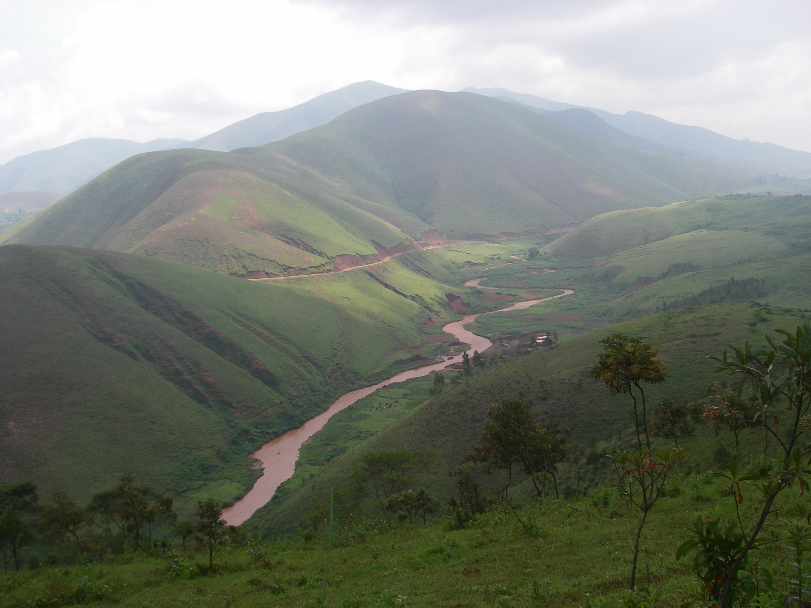 Esta es una panorámica de el Congo. Desde la plantación de árboles de la fiebre de la que extraemos la quinina para elaborar nuestras tónicas. Nos mandó la foto Charles en uno de sus viajes.