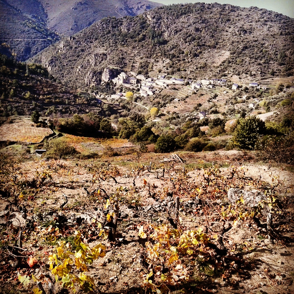 Viñedos extremos