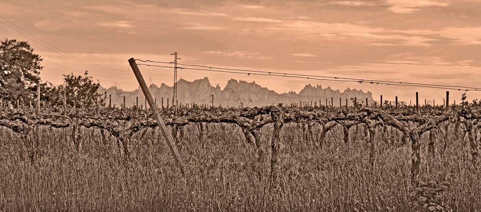 Pla de Bages