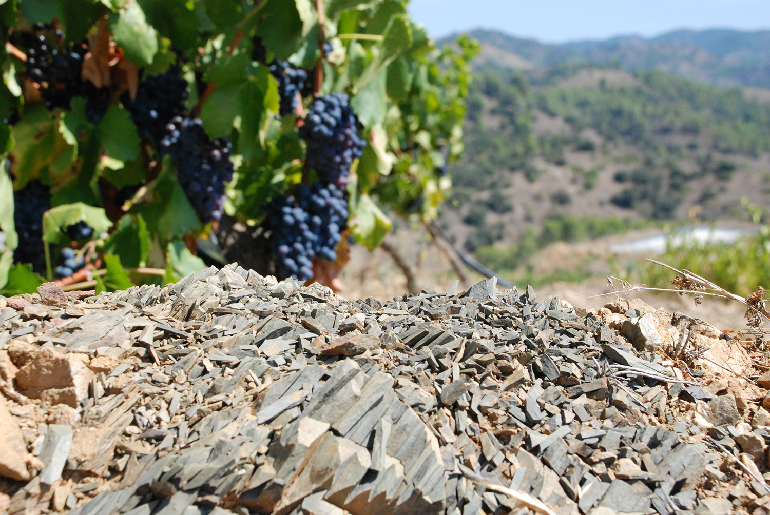 Priorat