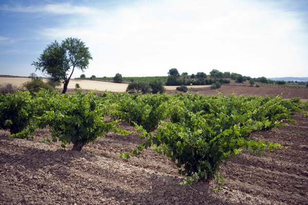 Entrevista a Martina e Ignacio Prieto Pariente