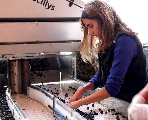 Entrevista a Martina e Ignacio Prieto Pariente