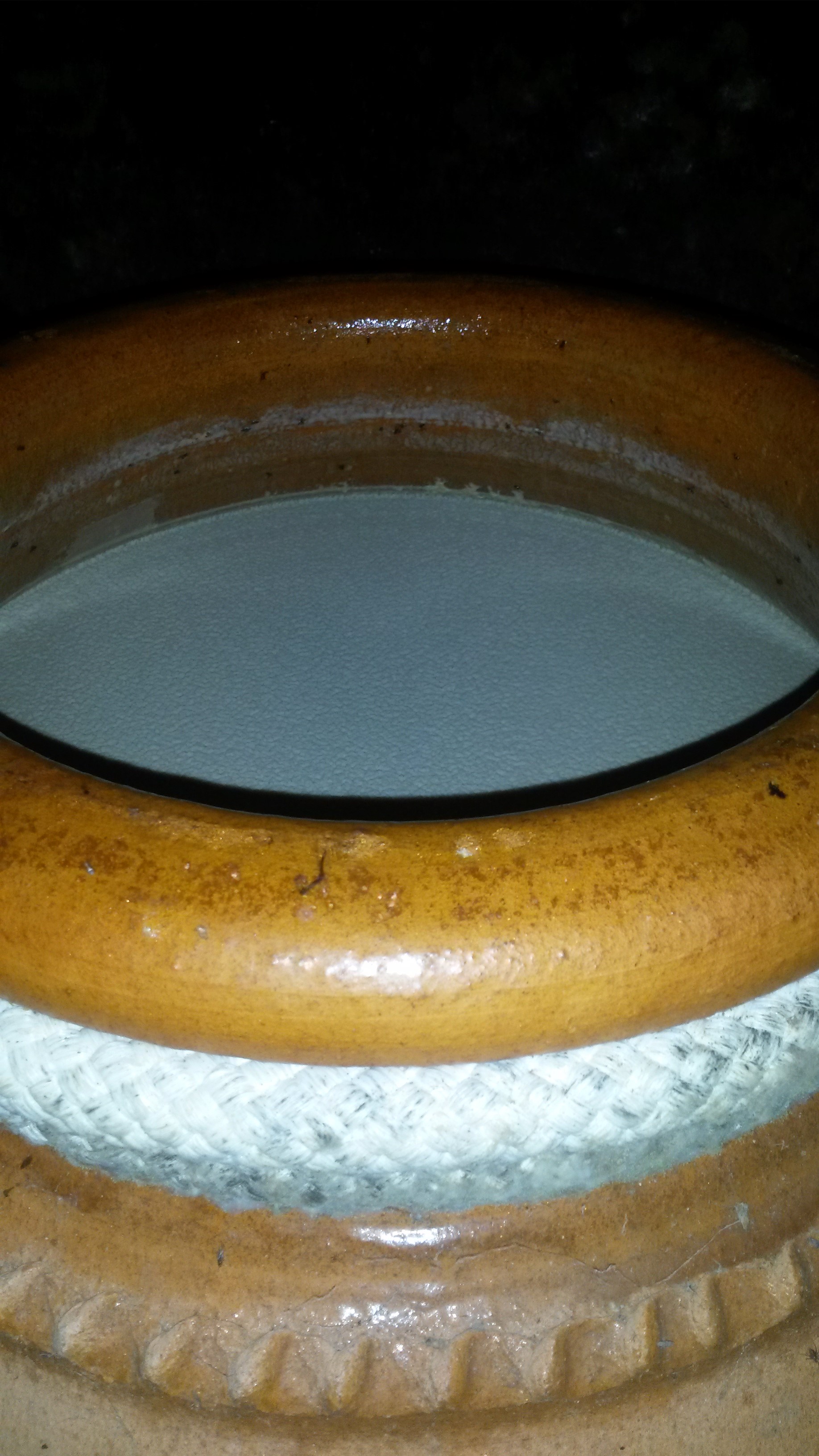 Velo de flor en una tinaja (vino de Ismael Gozalo)