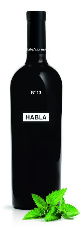 Habla Nº13