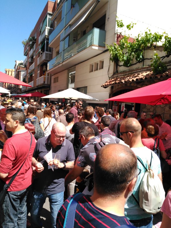 10a mostra de Vins i Caves1