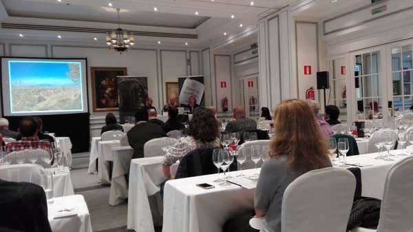 Sala de cata Conde de los Andes