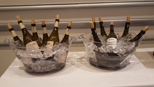 Vinos de Bodegas de Protos