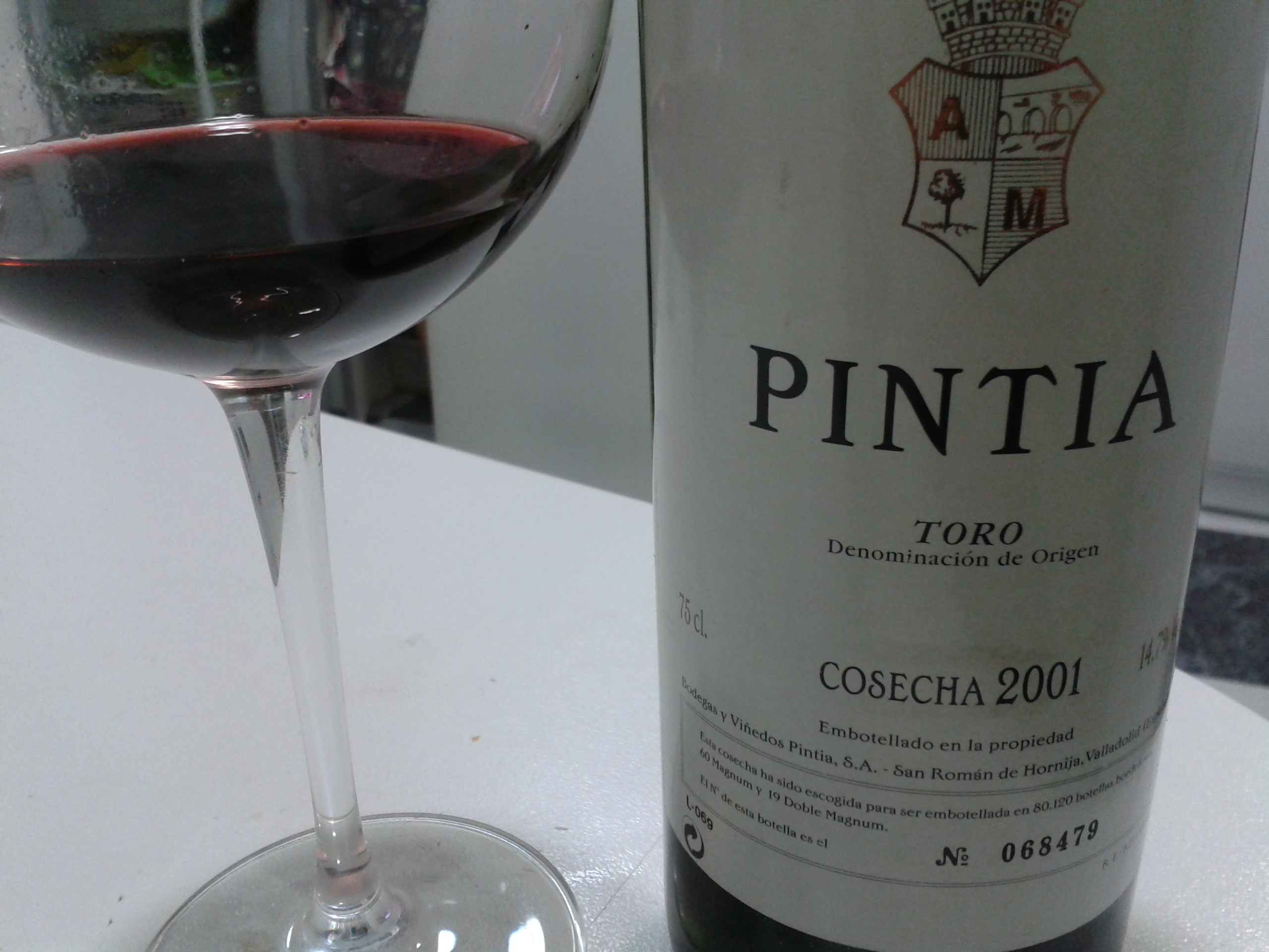 la 1ª añada de pintia
