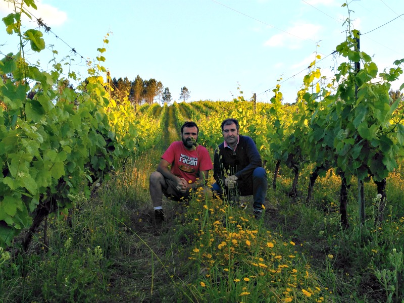 Crowfunding adega eloi lorenzo vino lonxe