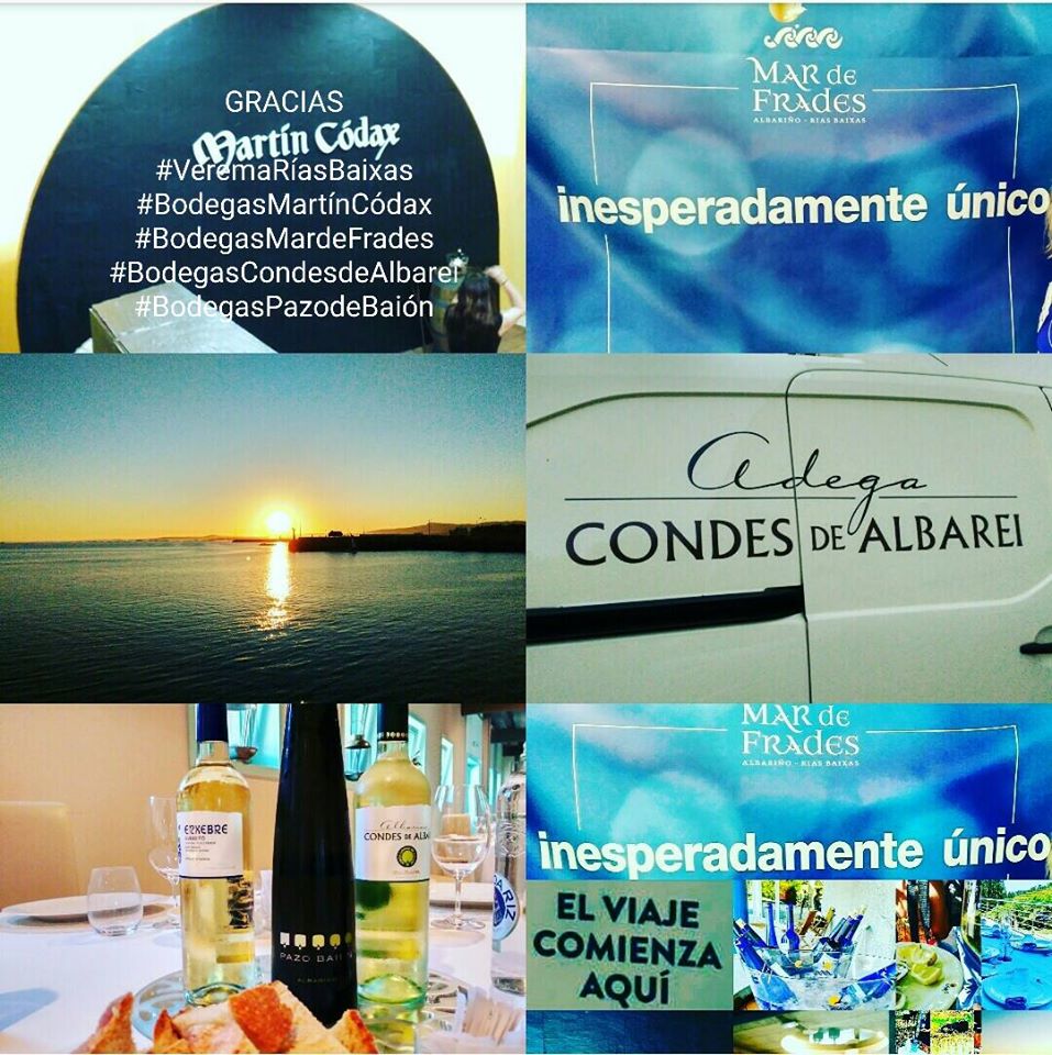 Encuentro Verema 2016