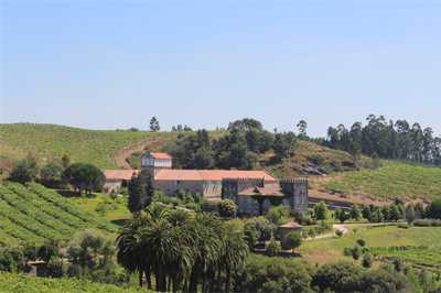 Pazo Baión