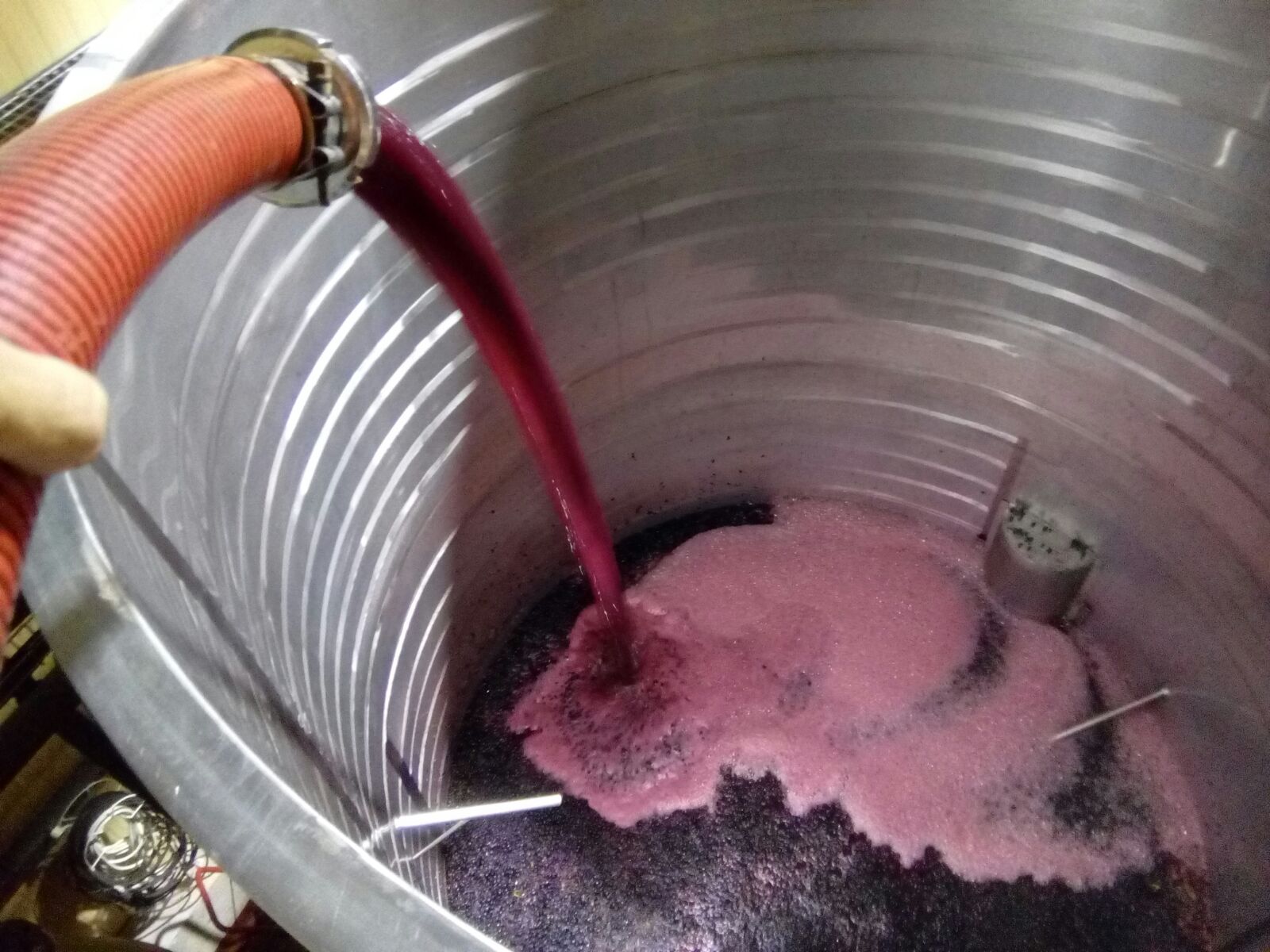 Remontado del mosto