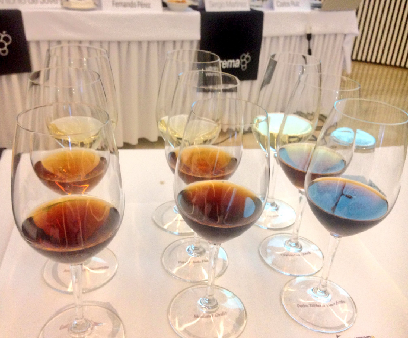 Nuestra compañera Mara Funes emocionada ante la impresionante cata de Bodegas Lustau