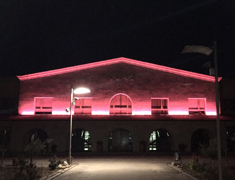 Bodega Emina Ribera contra el cáncer
