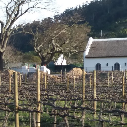 Stellenbosch viñedos y bodegas