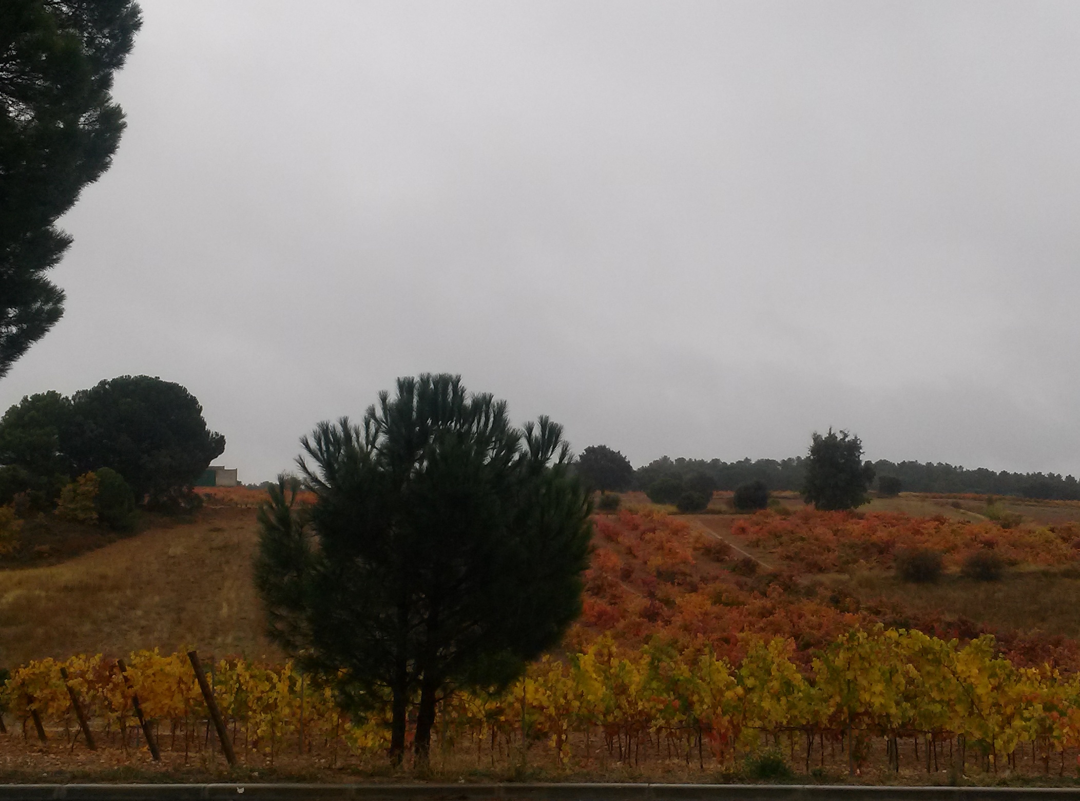 Preciosas vistas en día lluvioso...